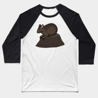 Amami Rabbit Baseball T-Shirt